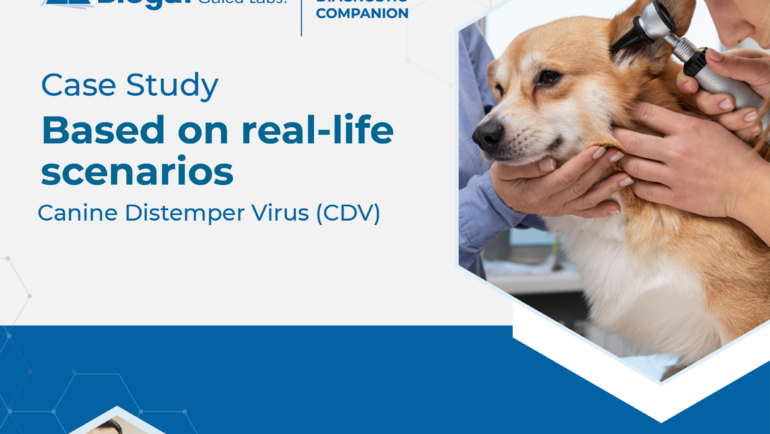 Biogal Case Study – Based on real-life scenarios, Canine Distemper Virus (CDV)