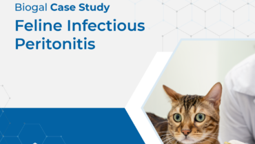 Feline Infectious Peritonitis- Dr. Diane D. Addie PhD