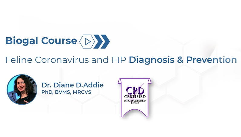 Biogal Courses Dr Diane Addie - Feline Coronavirus