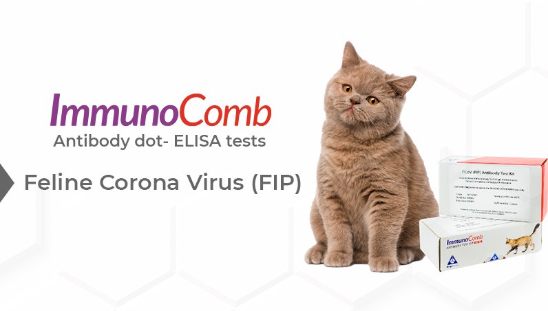 ImmunoComb Antibody dot-ELISA tests
