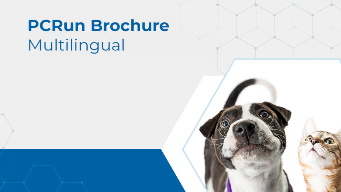 PCRun Brochure Multilingual