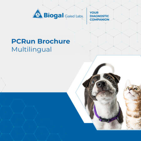 PCRun Brochure Multilingual