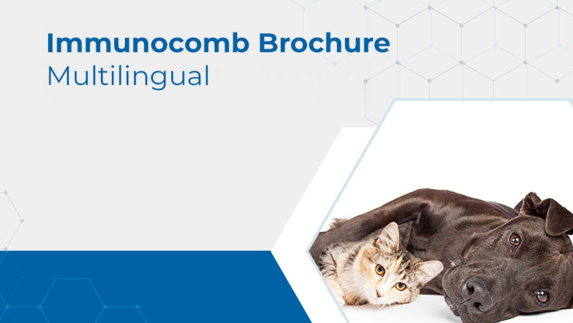 Immunocomb Brochure- Multilingual page
