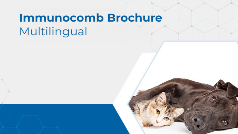 Immunocomb Brochure- Multilingual page